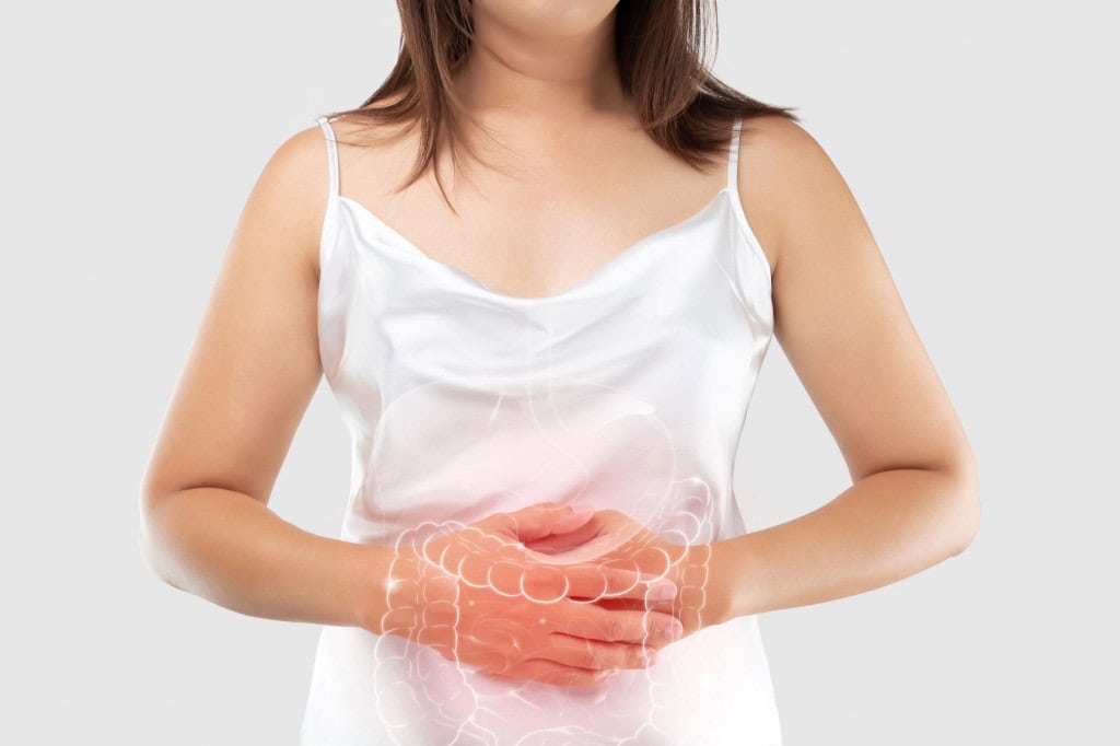 intestino