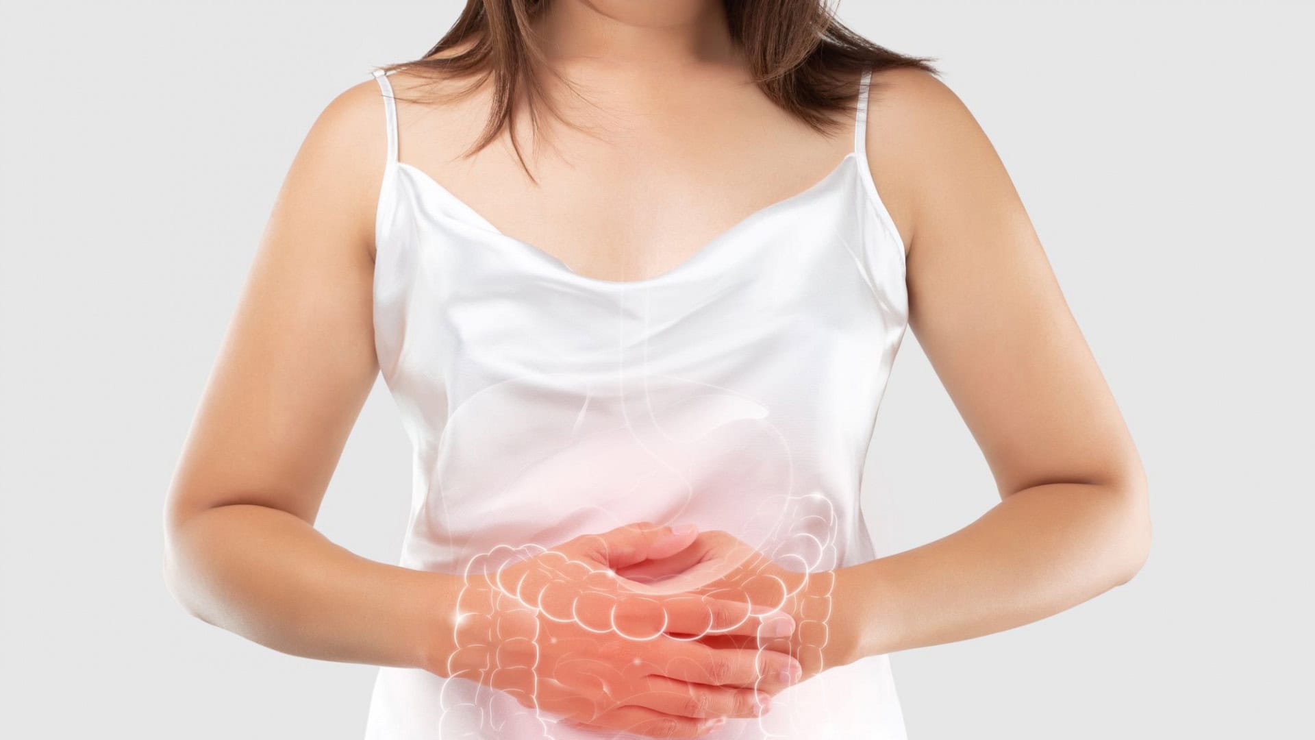 intestino