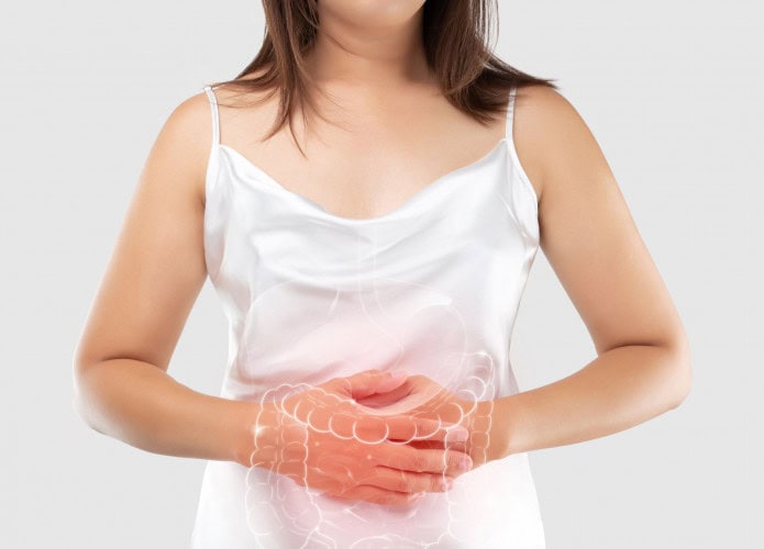 intestino