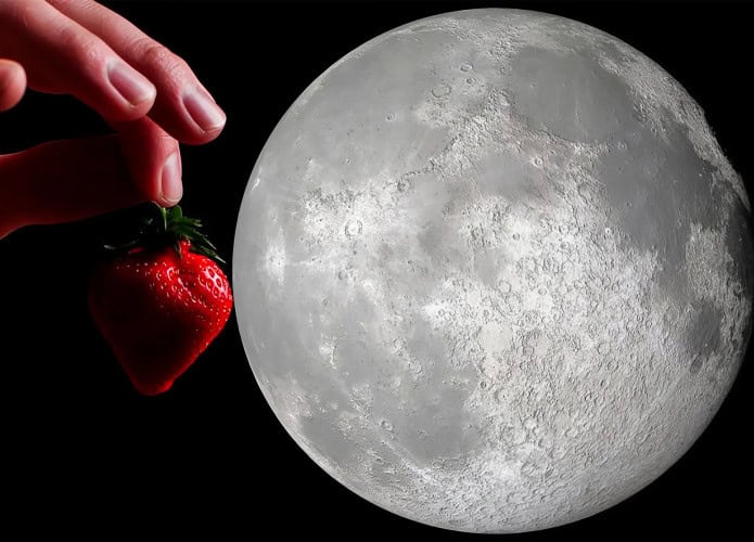 lua-de-morango-695x500