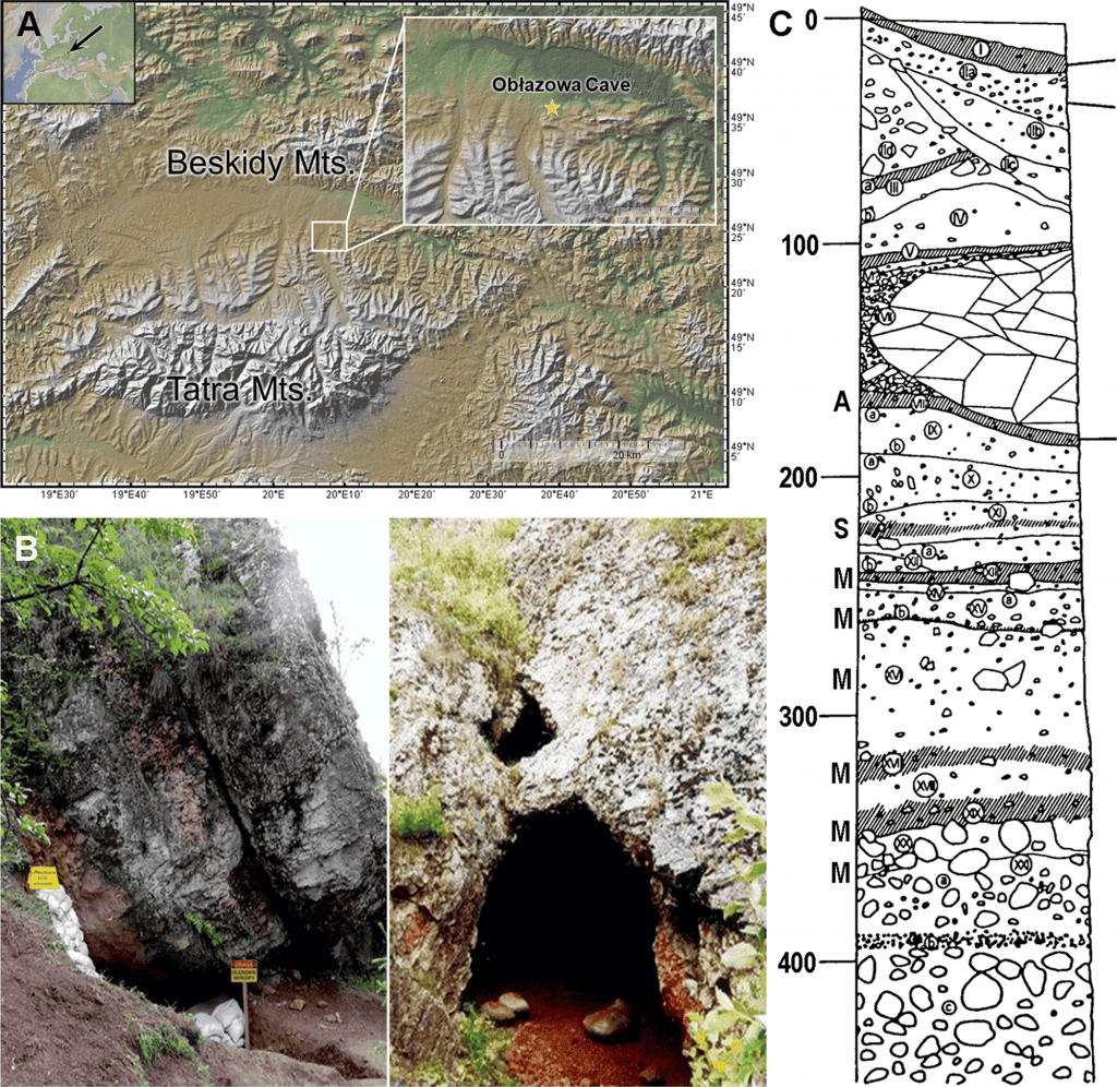Área da caverna onde o artefato foi encontrado