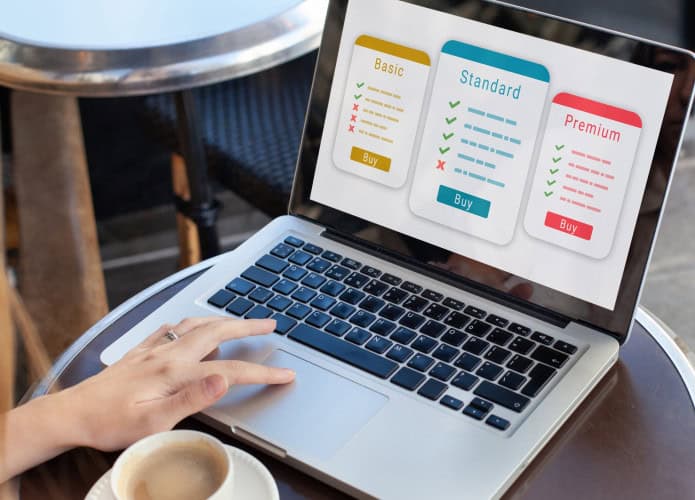 Plano de assinatura para serviço online, acessos mensais, SaaS
