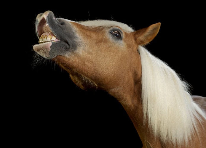 shutterstock_2015035829-1-695x500