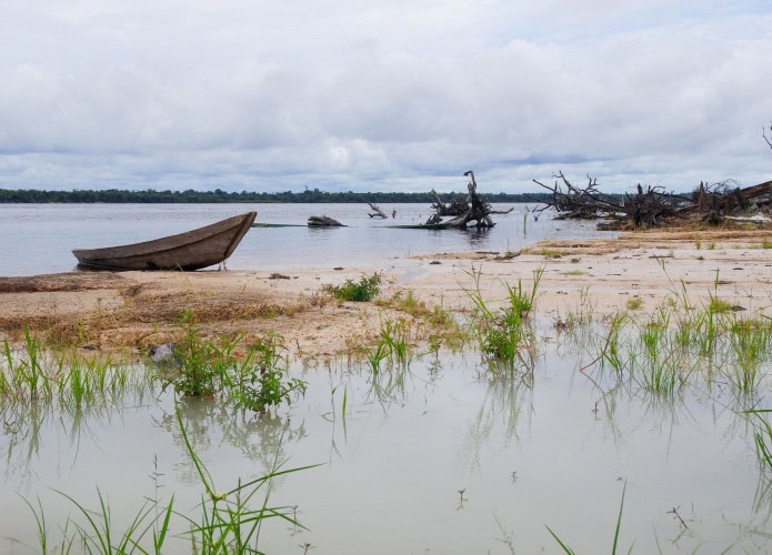 Rio Negro com água baixa, barcos e árvores mortas.