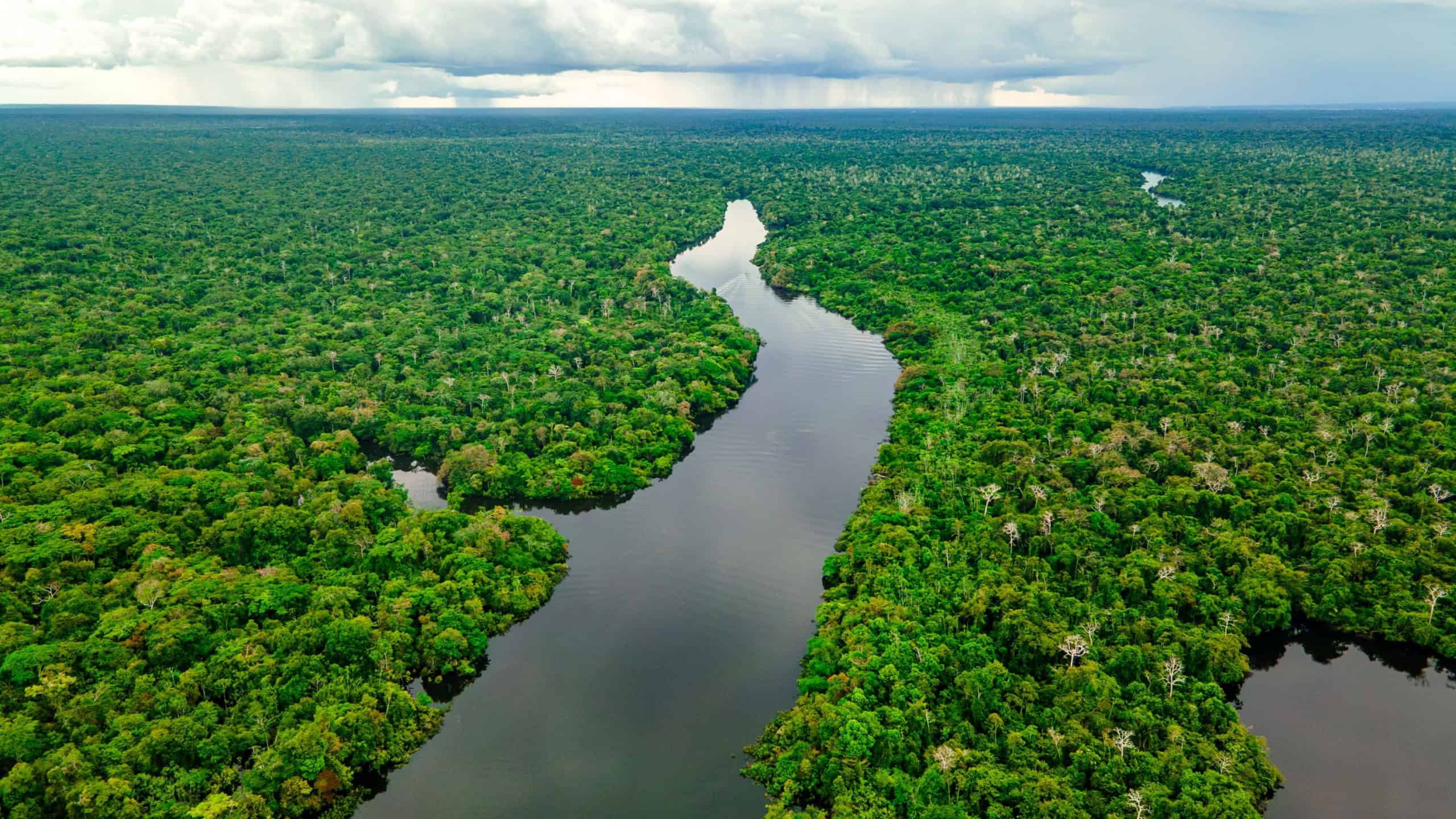 Ouro ilegal na Amazônia é “lavado” por permissões falsas e movimenta quase US$ 4 bilhões, aponta Greenpeace