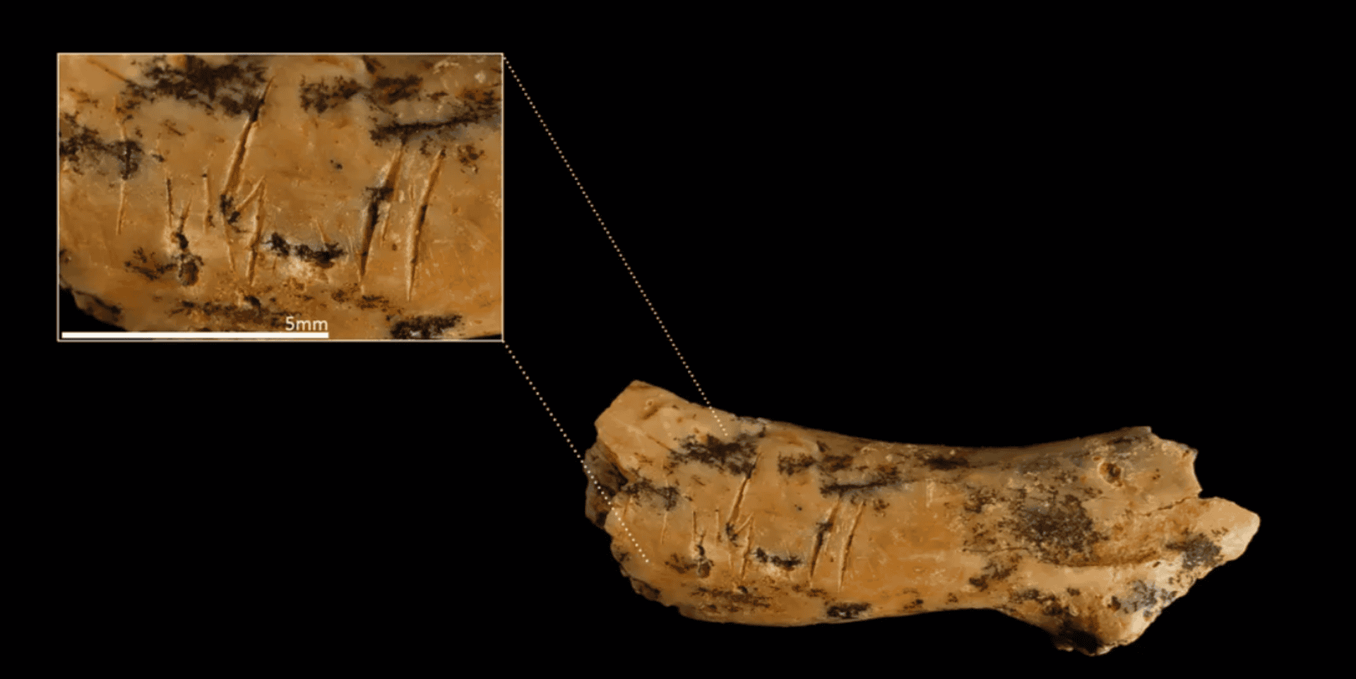 Captura-de-tela-2025-07-28-135510-1920x962.png