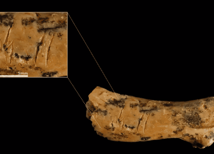 Captura-de-tela-2025-07-28-135510-695x500.png