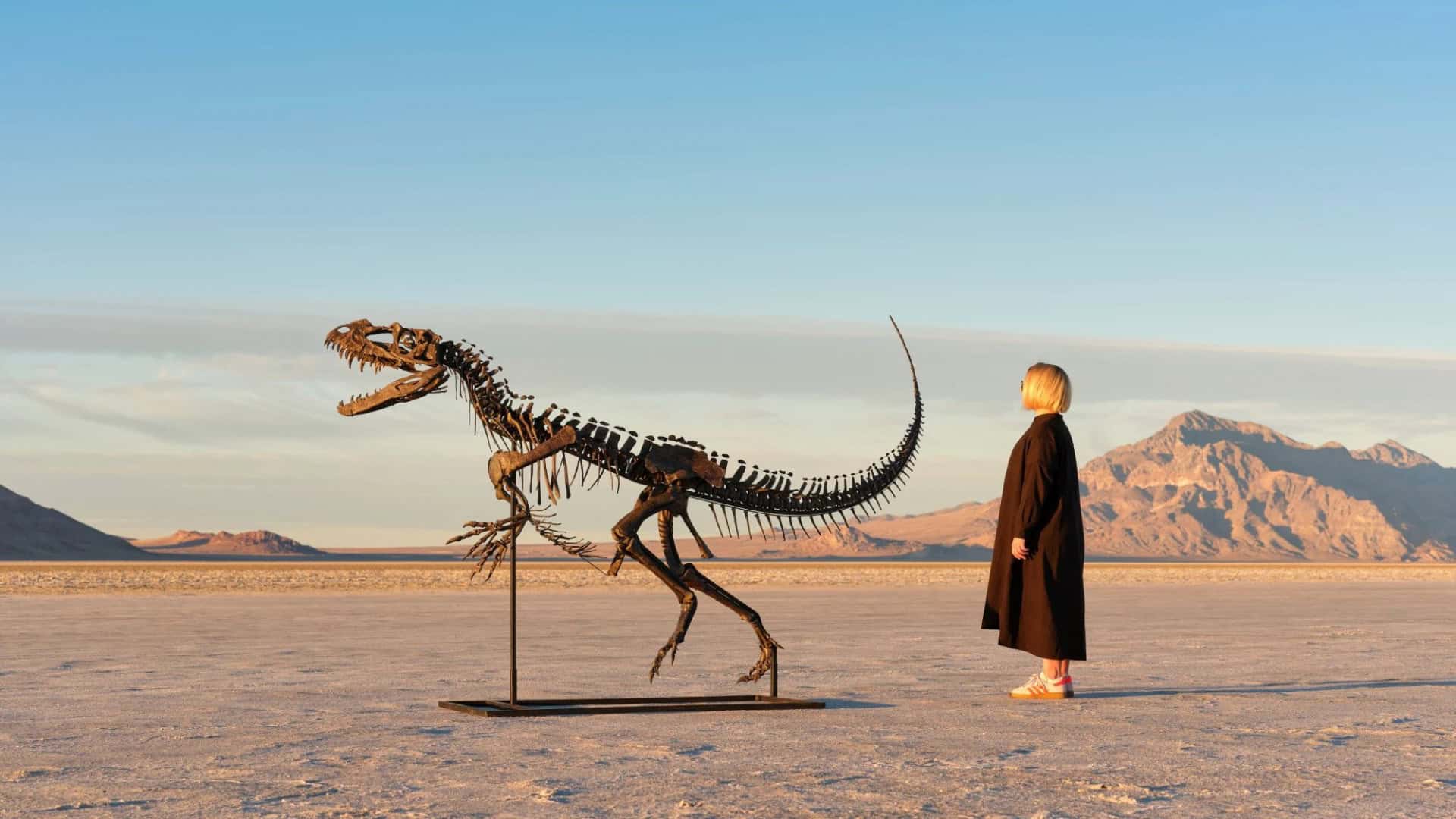 Leilão de esqueleto de dinossauro ocorreu na última quarta-feira (19), em Nova York. Espécime é um dos quatro fósseis encontrados de Ceratossauro até o momento.