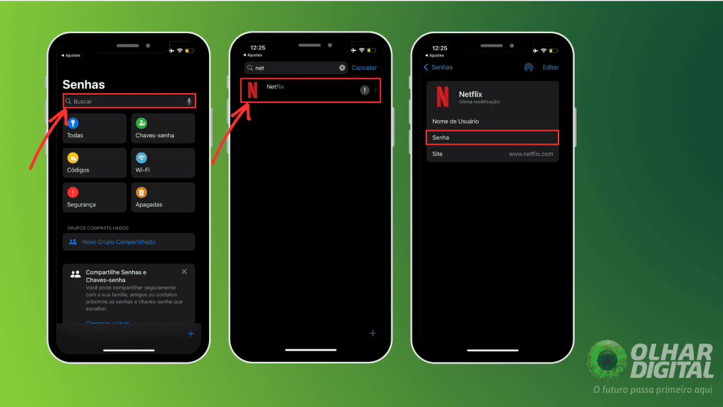 Como encontrar senha da Netflix pelo iOS passos 3 e 4