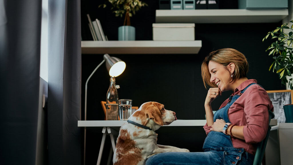 Uma mulher grávida está sorrindo e interagindo com seu cachorro, enquanto ele a observa atentamente, sentado ao lado dela. A cena se passa em um ambiente aconchegante e bem iluminado, com decoração minimalista. Perguntar ao ChatGPT