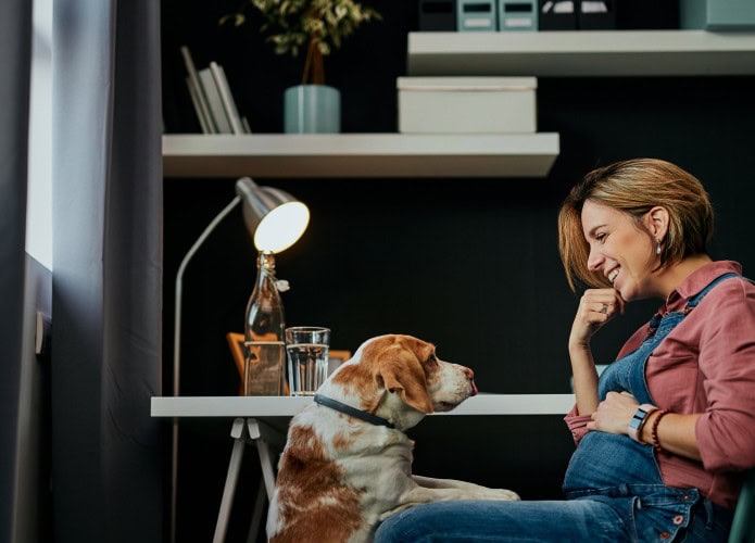 Uma mulher grávida está sorrindo e interagindo com seu cachorro, enquanto ele a observa atentamente, sentado ao lado dela. A cena se passa em um ambiente aconchegante e bem iluminado, com decoração minimalista. Perguntar ao ChatGPT