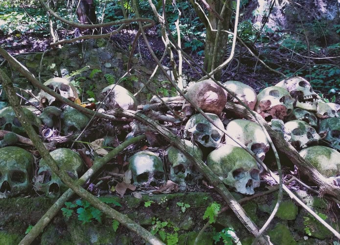 foto de crânios em voltos de galhos expostos na Ilha Caveira, cemitério a céu aberto em Bali
