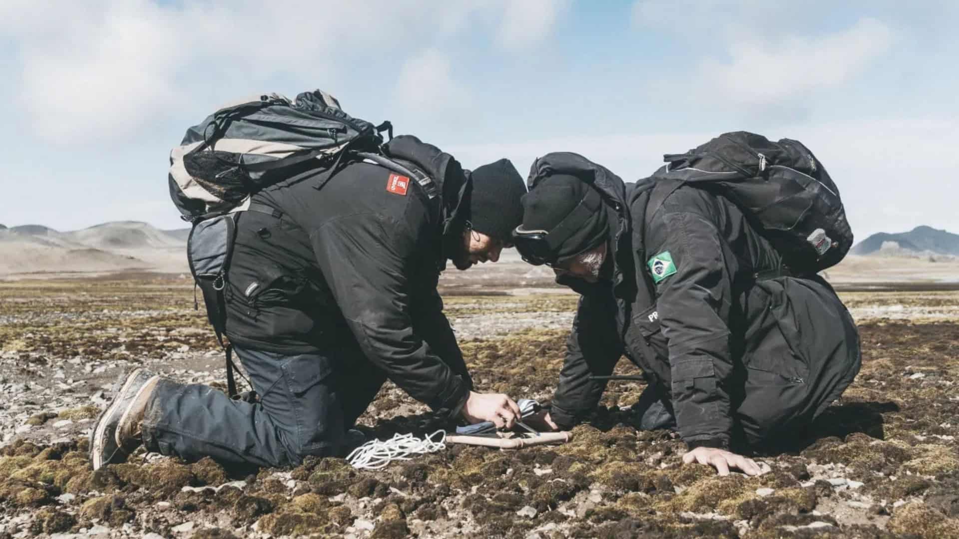 Cientistas brasileiros agachados enquanto procuram fungos no solo da Antártica