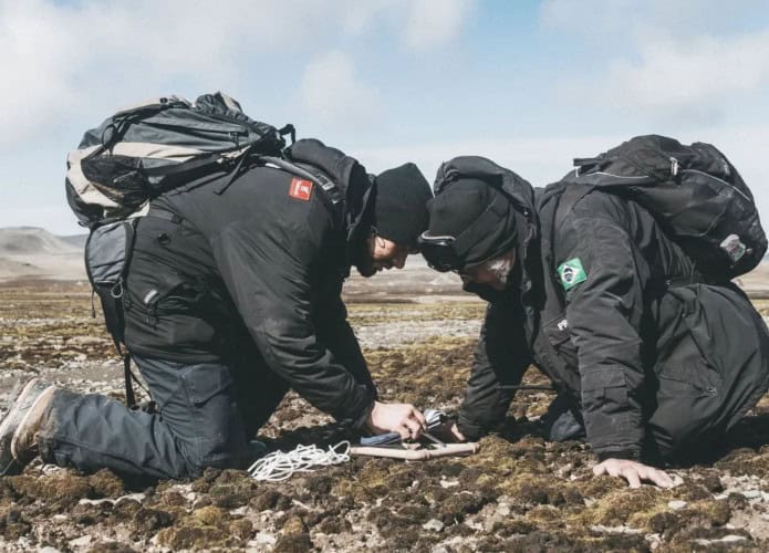 Cientistas brasileiros agachados enquanto procuram fungos no solo da Antártica