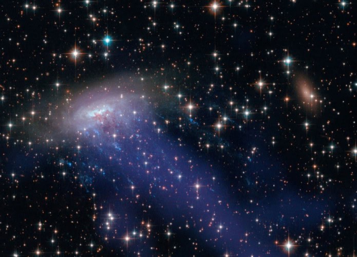 Esta imagem composta do ESO 137-001 inclui luz visível do Hubble e raios X do Observatório de Raios X Chandra (em azul). Ela revela uma cauda de gás quente que foi arrancada da galáxia.