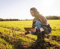 Mulher agachada em uma plantação e olhando para um tablet