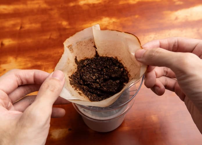 borra de café