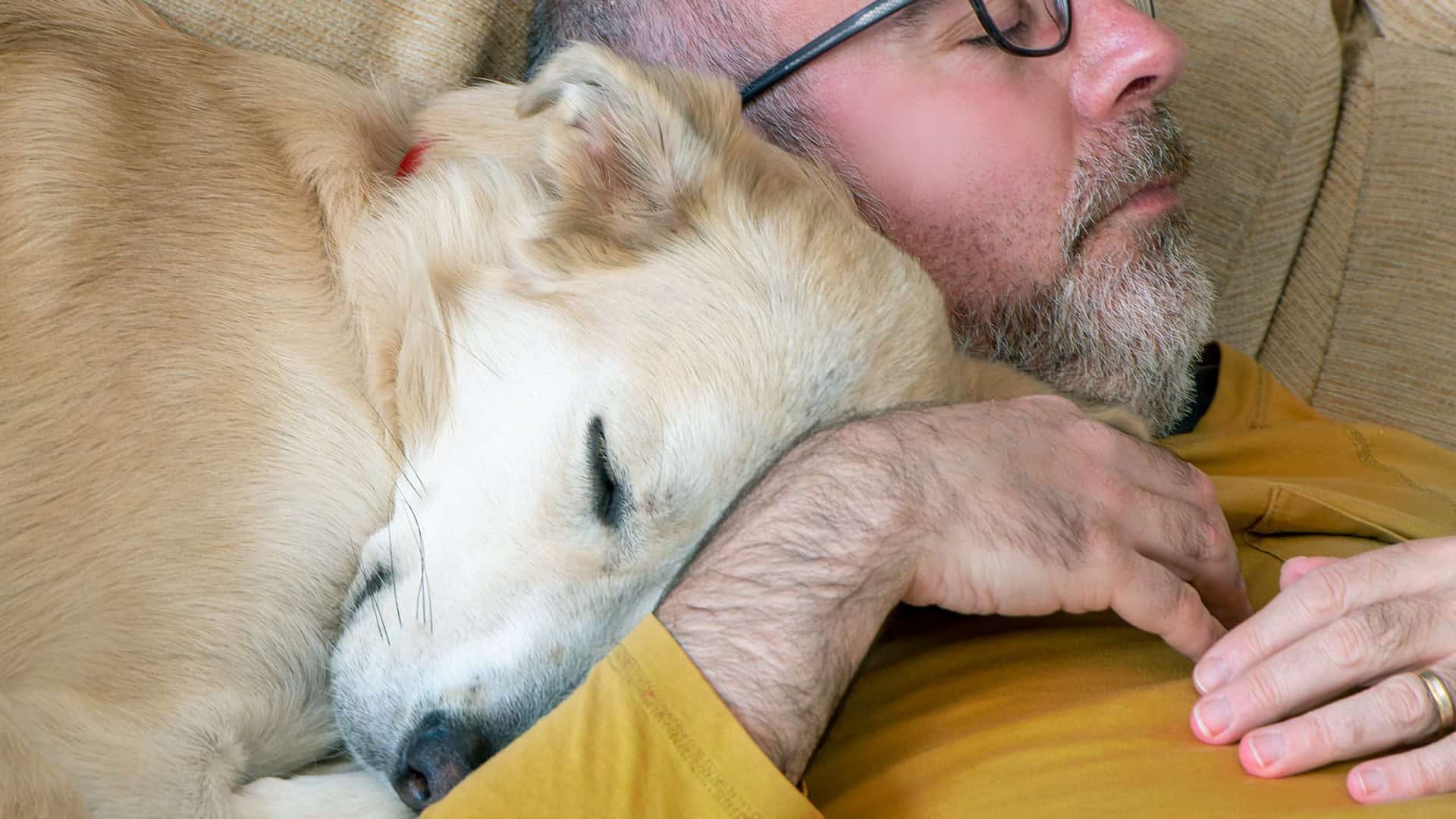 Cachorro e tutor dormem juntinhos
