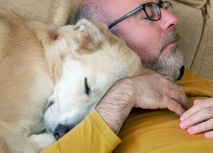 Cachorro e tutor dormem juntinhos
