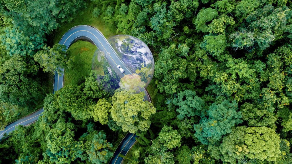 Mescla do planeta com mata