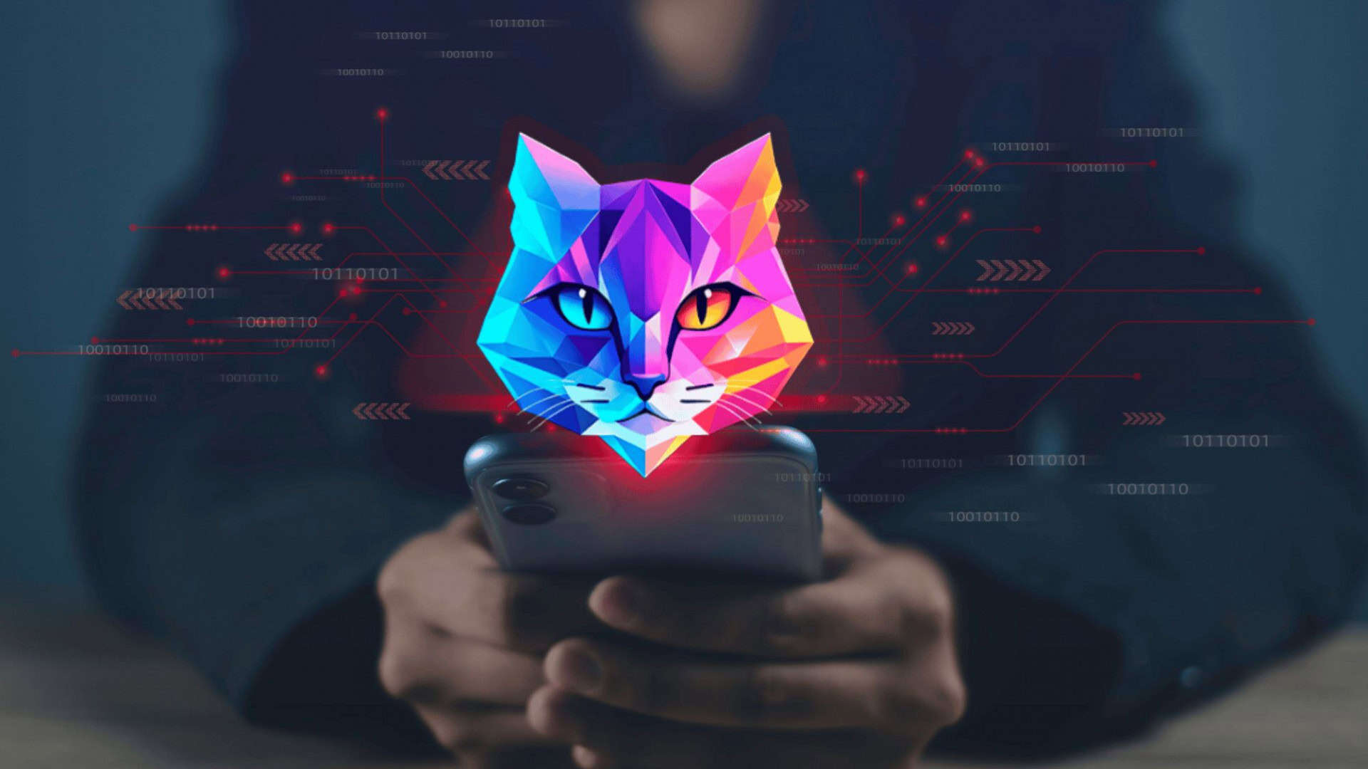 catwatchful-1920x1080