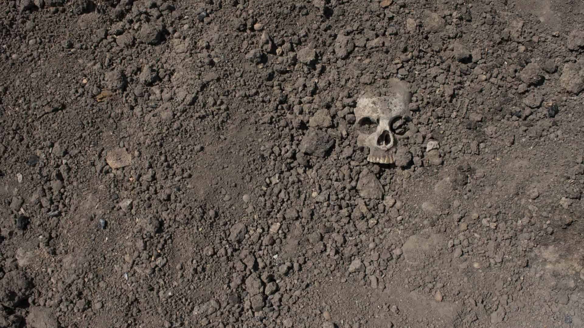 cranio-esqueleto-1-1920x1080