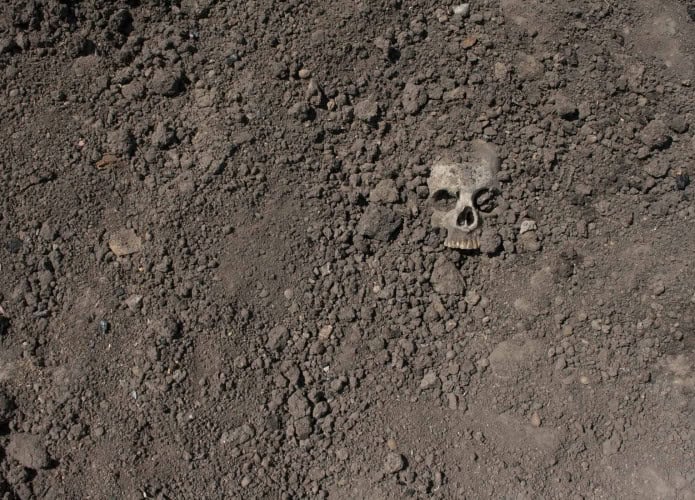 cranio-esqueleto-1-695x500