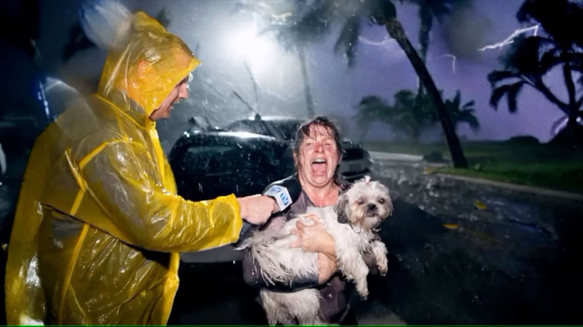 Imagem feita por IA que mostra uma mulher, com um cachorro na mão, gritando e sendo entrevistada por um repórter
