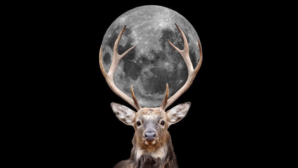 lua dos cervos