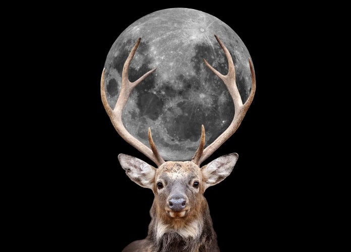 lua-dos-cervos-695x500