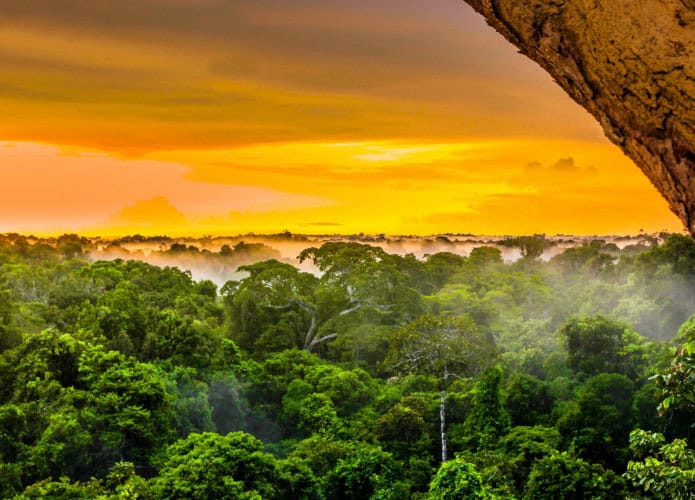 Imagem mostra uma região da floresta amazônica, iluminada pelo pôr do sol, com as árvores e neblina na parte de baixo