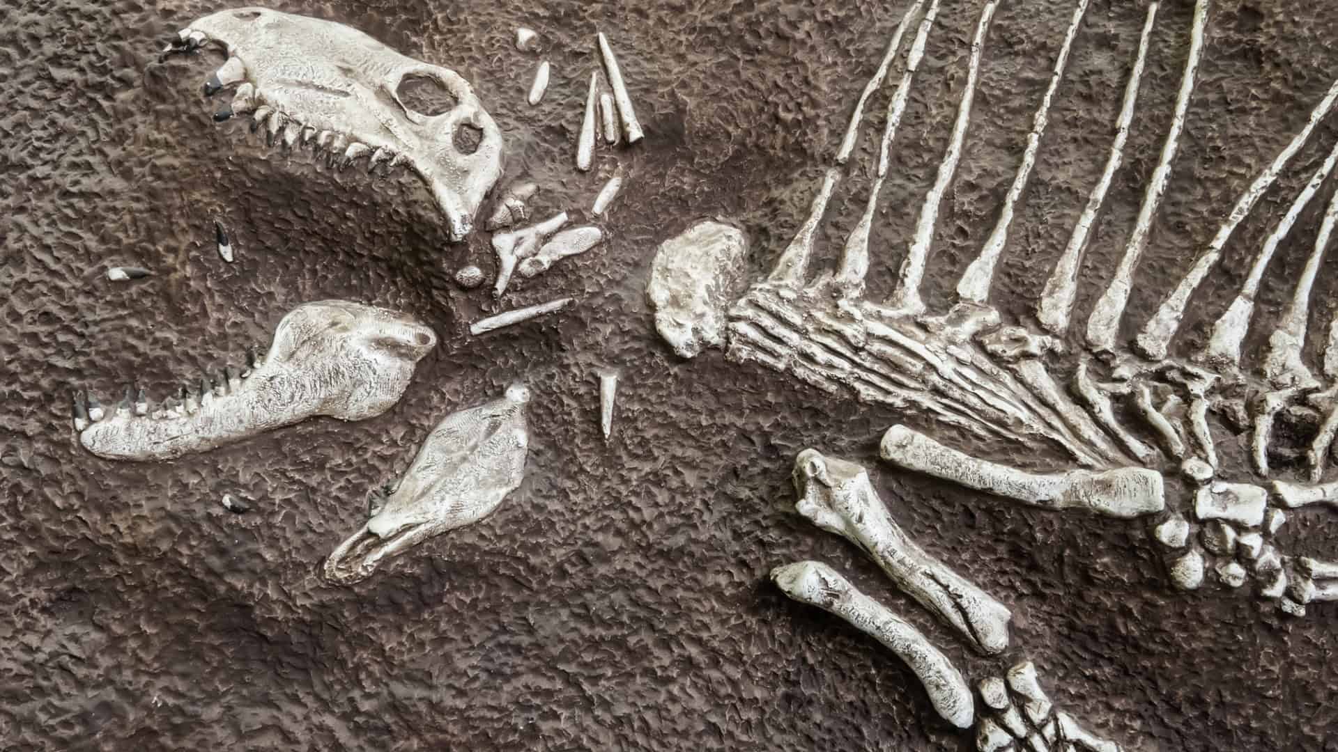 shutterstock_202310968-1-1920x1080