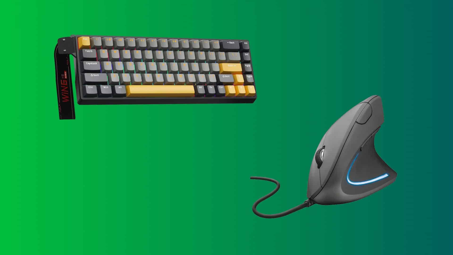 Teclados e mouses