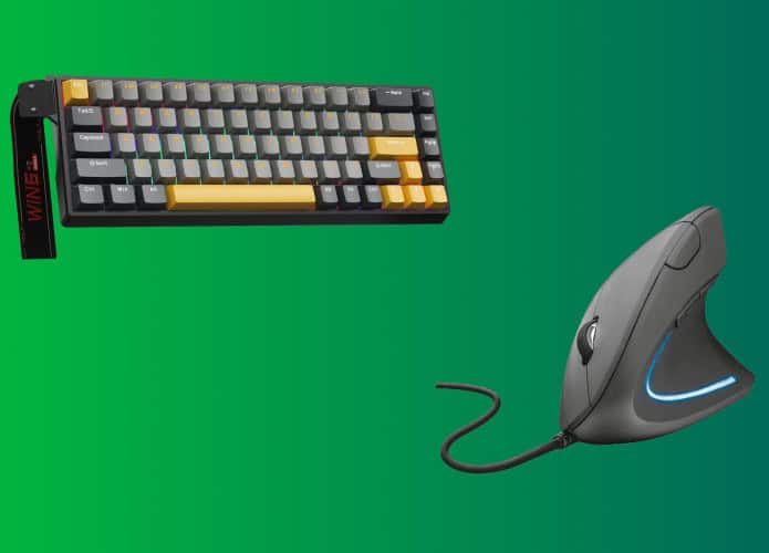 Teclados e mouses