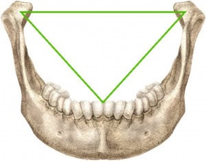 Bonwill Mistério de obra de Leonardo da Vinci é revelado por dentista - Olhar ...