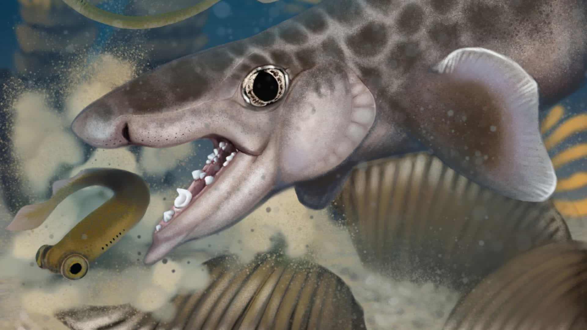 tubarao-antigo-1-1920x1080