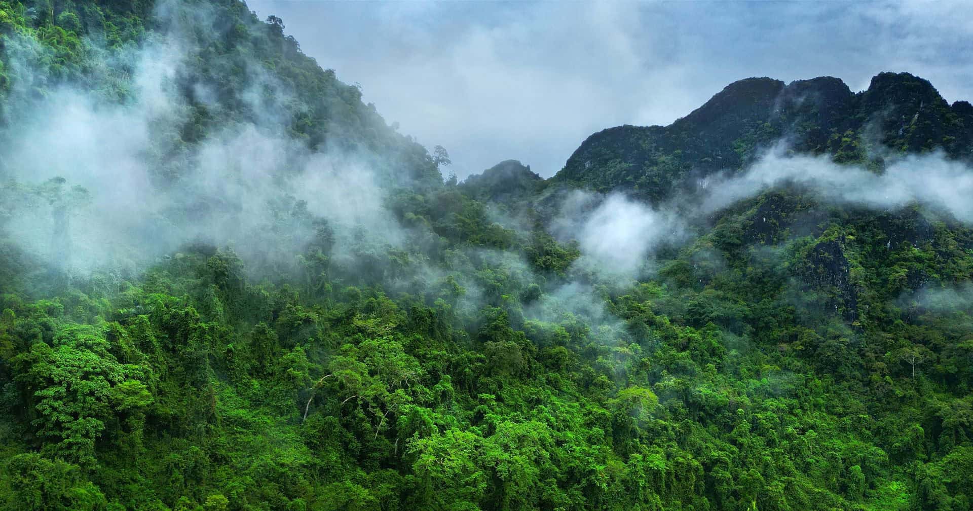 Amaoznia-com-vapor-1920x1008