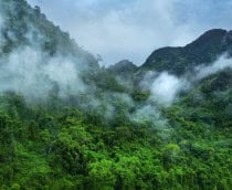 Amaoznia-com-vapor-210x172