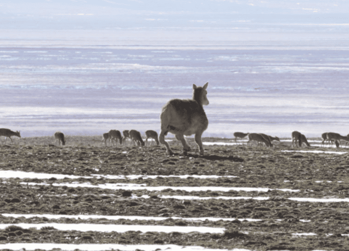 Captura-de-tela-2025-08-13-154312-695x500.png