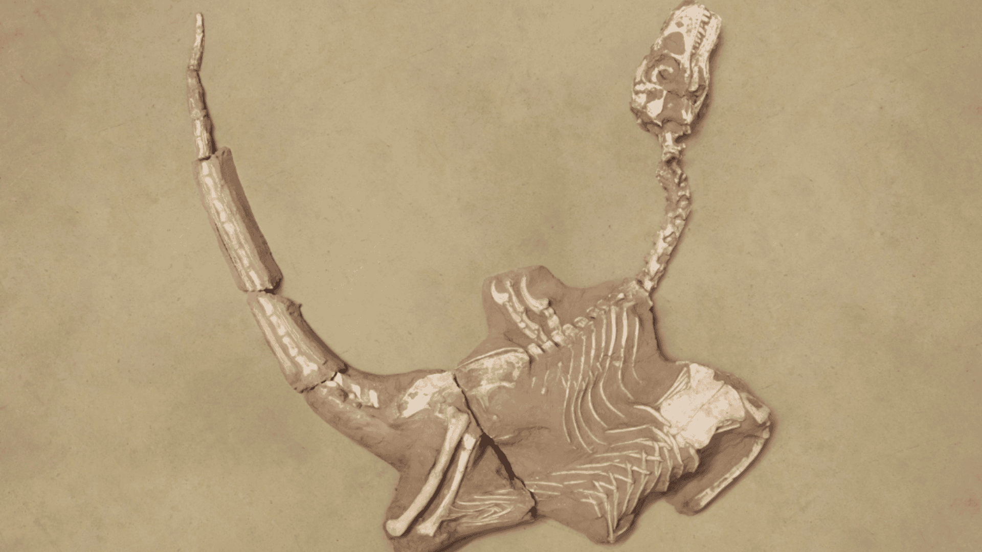 Captura-de-tela-2025-08-14-105820-1920x1080.png