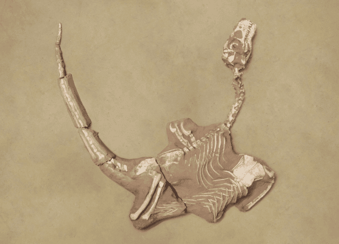 Captura-de-tela-2025-08-14-105820-695x500.png