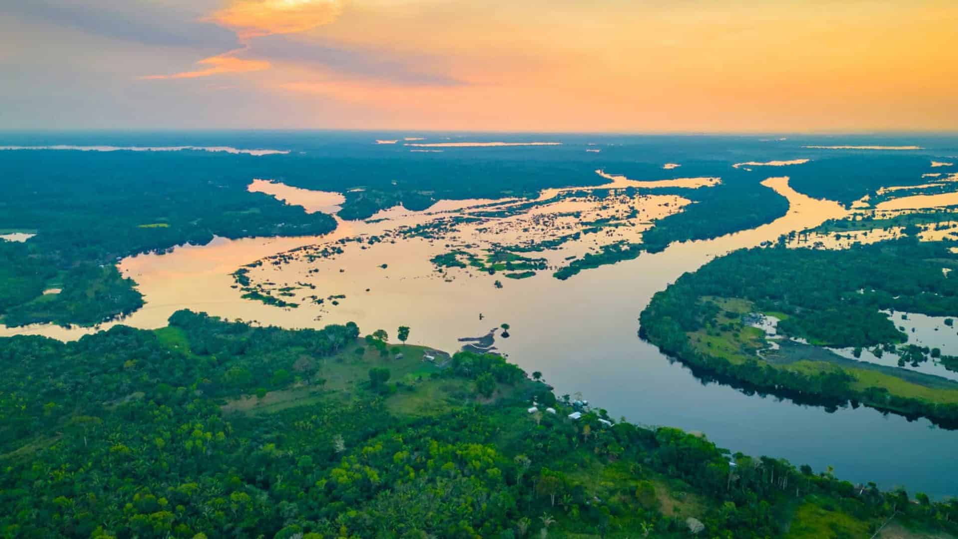 Amazônia vista de cima