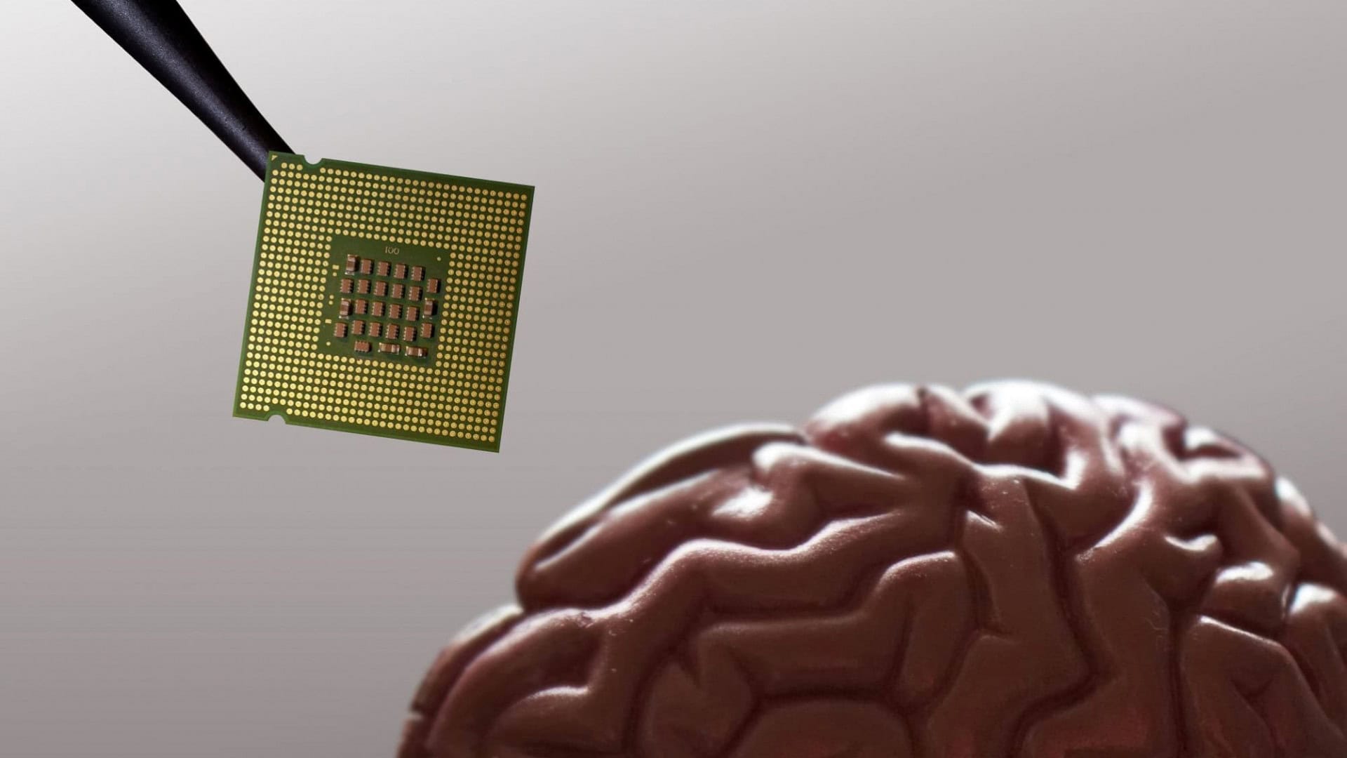 brain-1920x1080