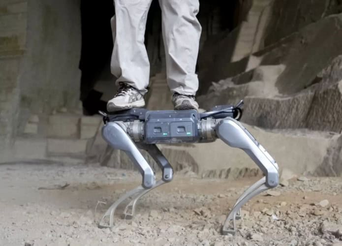 cao-robo