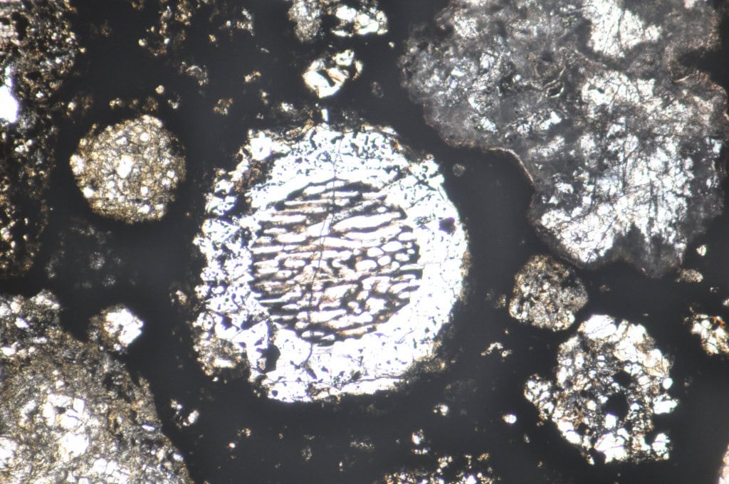 Côndrulos redondos visíveis em uma seção fina do meteorito Allende sob visão microscópica