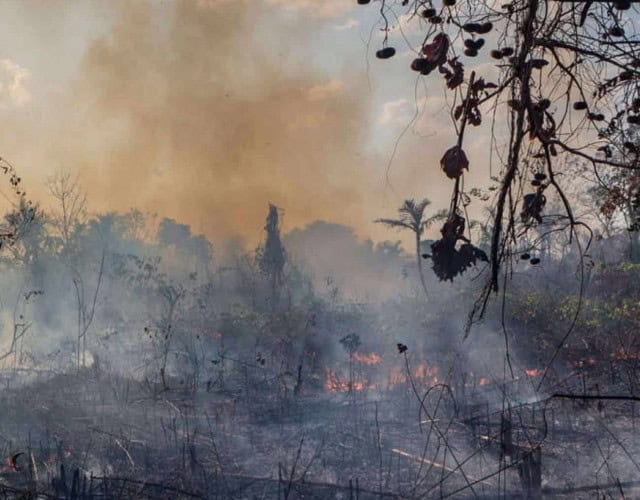 Capa - amazônia
