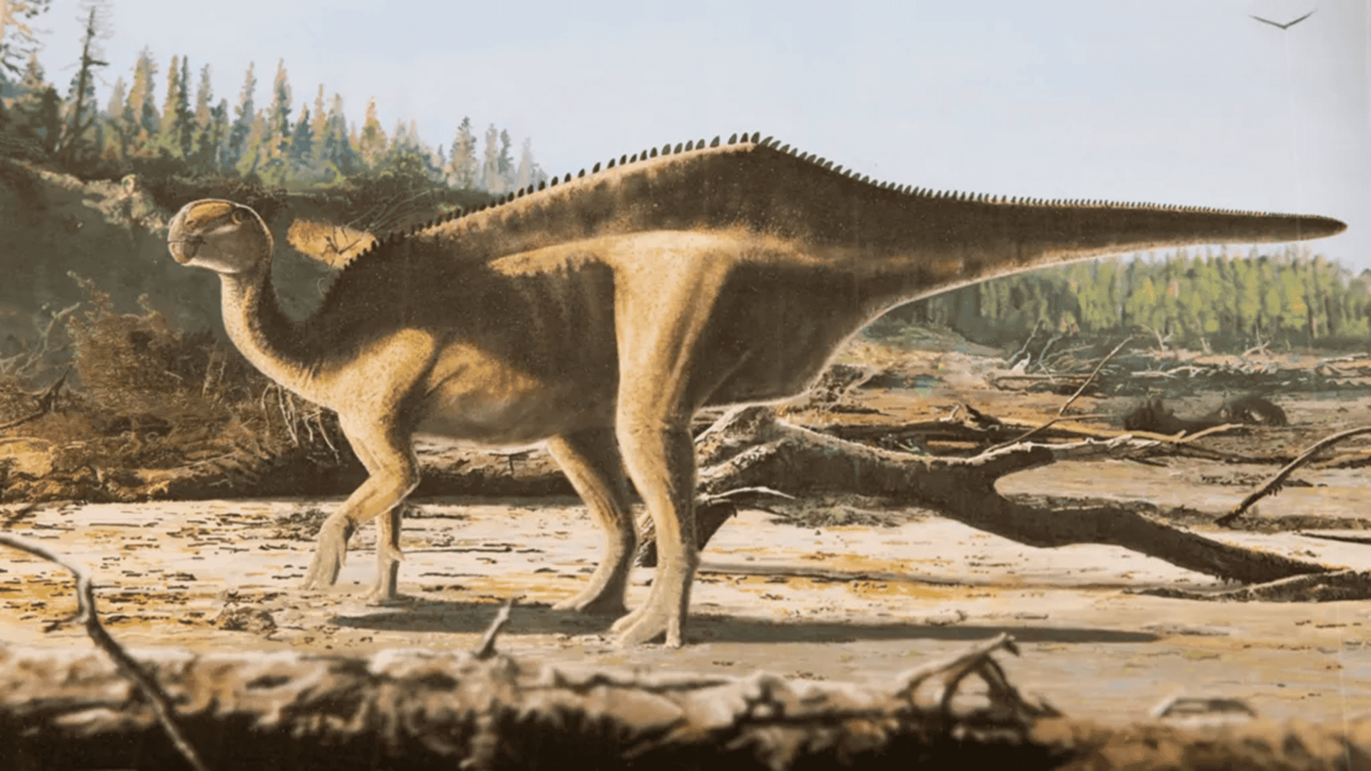 Ilustração do dinossauro encontrado