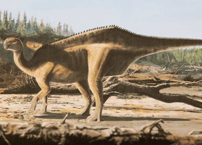 Ilustração do dinossauro encontrado