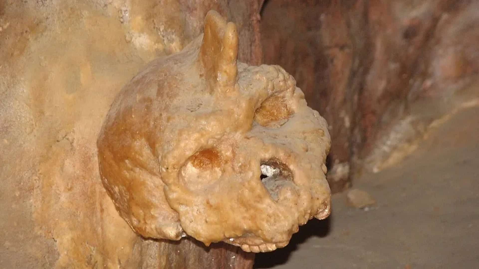 Crânio do Homem de Petralona