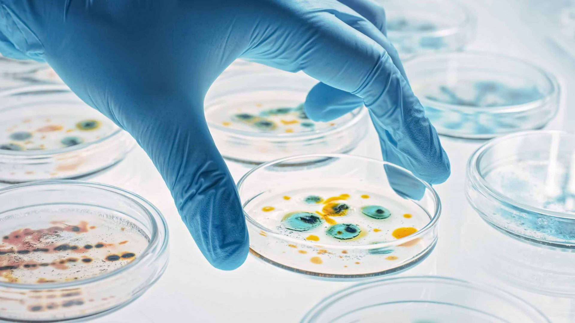 microbiologia
